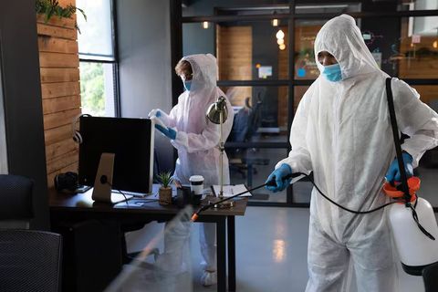 Commercial Pest Control Contract Information for Businesses and Property Managers