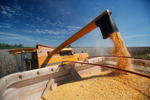 Grain Handling Equipment Insights: Discover Modern Grain Processing Solutions